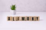 Alimony Myths